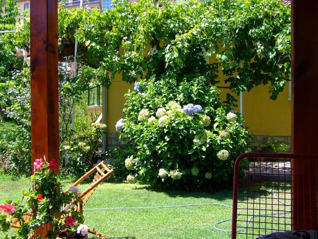 בודווה Holiday Home Vesna חדר תמונה