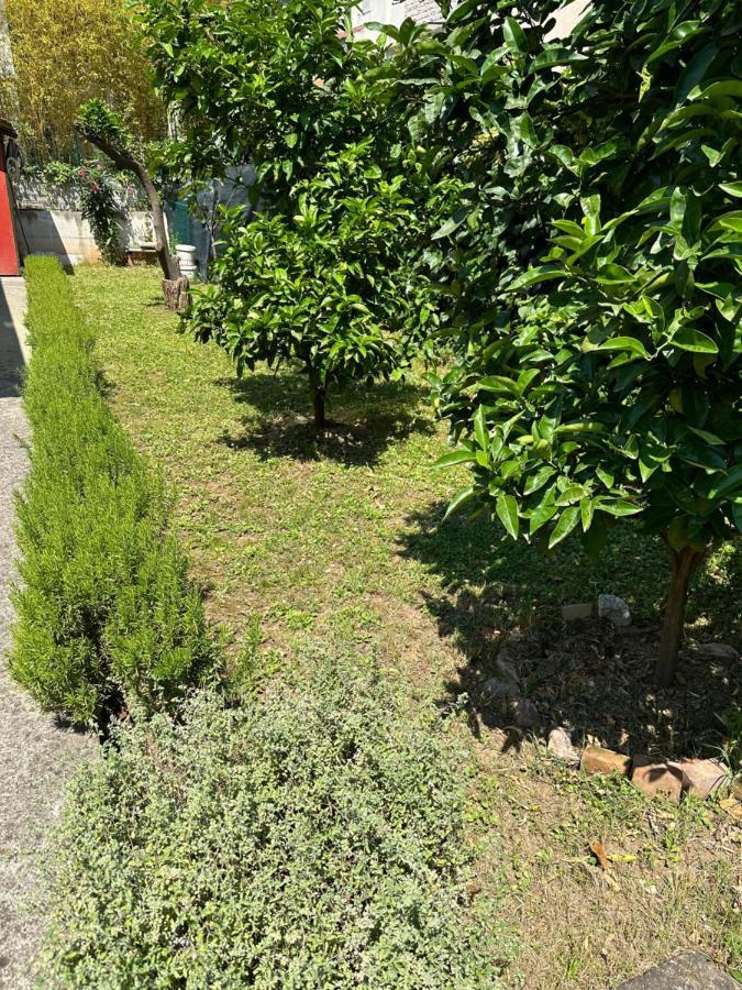 בודווה Holiday Home Vesna מראה חיצוני תמונה