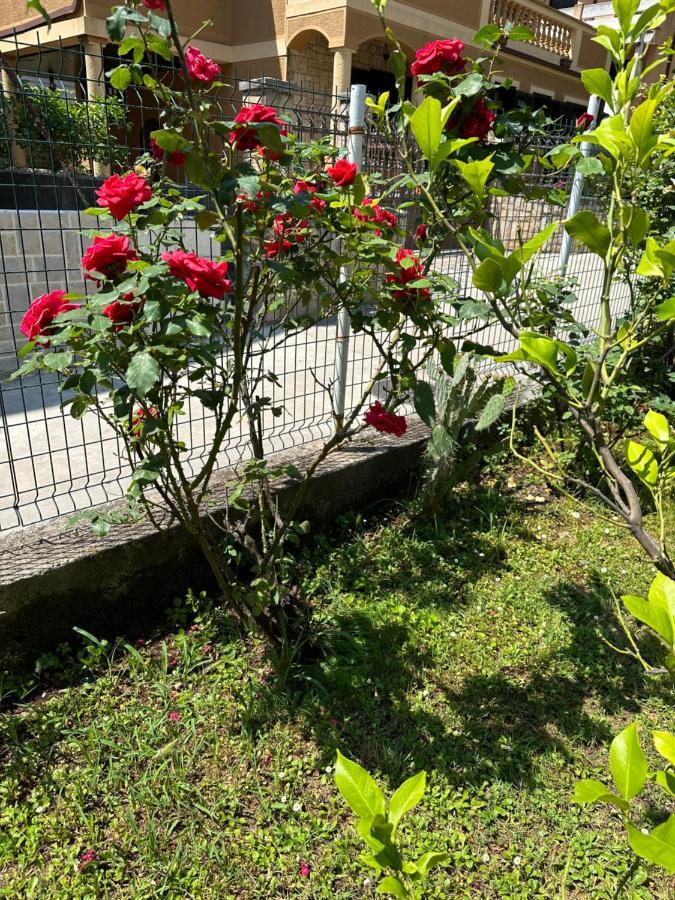 בודווה Holiday Home Vesna מראה חיצוני תמונה